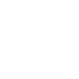 Shopware Theme Header Logo