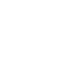 Template Shop Header Logo